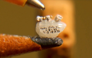 Độc đáo tượng heo tí hon mừng Tết Kỷ Hợi