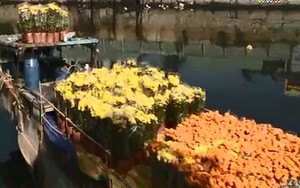 Sắc màu chợ hoa trên sông ngày Tết