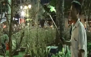 Nhọc nhằn nghề bán hoa Tết