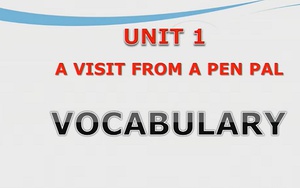 Tiếng Anh lớp 9 - Bài 1: Vocabularies Practice