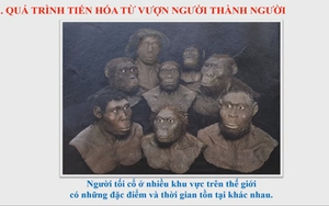 Bài 2 Lịch sử lớp 6: Thời kỳ nguyên thủy, nguồn gốc loài người và xã hội nguyên thủy