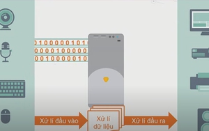 Tin học lớp 6 - Bài 3: Máy tính và cộng đồng