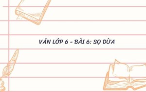 Văn lớp 6 - Bài 6: Sọ Dừa