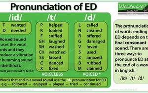 Anh văn lớp 6 - Bài 11: Pronuciation "ed"