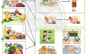 Công nghệ lớp 6 - Bài 6: Thực phẩm và dinh dưỡng