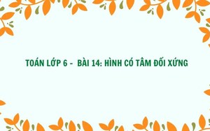 Toán lớp 6 - Bài 14: Hình có tâm đối xứng