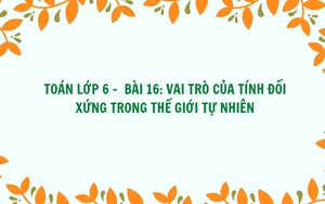 Toán lớp 6 - Bài 16: Vai trò của tính đối xứng trong thế giới tự nhiên