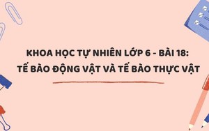 Khoa học tự nhiên lớp 6 - Bài 18: Tế bào động vật và tế bào thực vật