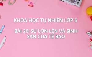 Khoa học tự nhiên lớp 6 - Bài 20: Sự lớn lên và sinh sản của tế bào