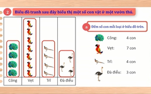 Toán lớp 2 - Bài 50: Em làm được những gì (Tiết 1)