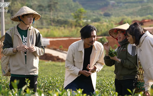 Quang Tuấn, Bi Max và Gia Mỹ hội ngộ tại vườn chè