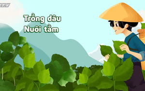 Thích thú với trải nghiệm hái lá dâu cho tằm ăn