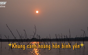 Thích thú ngắm hoàng hôn và cắm trại bên hồ Bà Hào