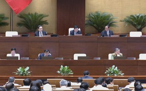 Đại biểu băn khoăn về việc bỏ thông tin quê quán trên căn cước công dân