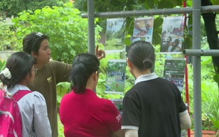 Ra mắt "Vườn cộng đồng" SOS: Nơi nuôi dưỡng tâm hồn cho các em nhỏ