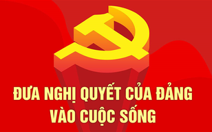 Nghị quyết vào cuộc sống