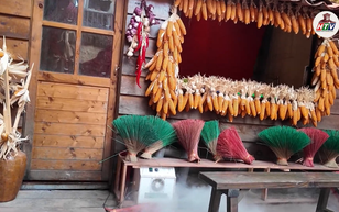 Độc đáo Nhà bên suối - HTV Thành phố không ngủ