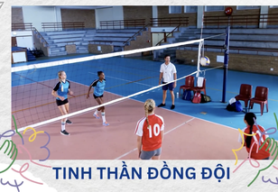 Góc nhỏ kỳ diệu: Khám phá bộ môn bóng chuyền