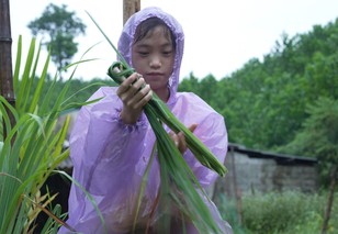 Vi Thị Viện: Cô bé dân tộc Thái mồ côi cha, chỉ mong mẹ khỏi bệnh - Mái ấm gia đình Việt