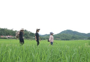 Mái ấm gia đình Việt: Đại Nghĩa, Đồng Ánh Quỳnh và Quang Hà nhiều lần bật khóc vì xót xa