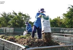 Cùng HTV Hành động xanh - Tập 23: Năng lượng xanh vì một tương lai xanh