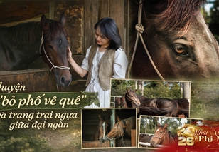 Chuyện “bỏ phố về quê” và nông trại ngựa giữa đại ngàn