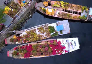 Tạp chí văn nghệ Tết - 9g Mùng 4 Tết trên HTV