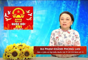 Chương trình hành động Ứng cử viên Đại biểu Quốc hội Khóa XVI Phạm Khánh Phong Lan