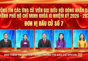Thông tin các ứng cử viên Đại biểu Hội đồng nhân dân TP. Hồ Chí Minh Khóa XI - Đơn vị bầu cử số 7