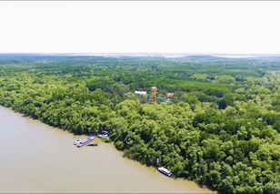 Vườn sao mai: Hành trình về "Vùng đất huyền thoại" của những chiến sĩ đặc công