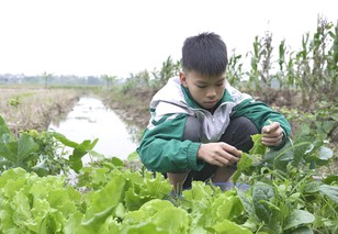 Mái ấm gia đình Việt: Chị em Minh Dương sớm tự lập vì mất cha, mẹ bệnh nặng