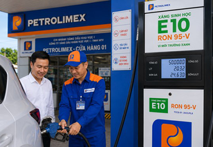 Petrolimex dừng bán RON95 chuyển sang xăng sinh học E10 từ ngày 20/5