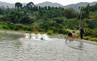 Quy định về xử phạt vi phạm hành chính lĩnh vực tài nguyên nước