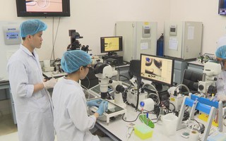 TP.HCM hiện thực hóa đề án phát triển trung tâm đạt chuẩn quốc tế