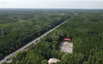 Cùng HTV Hành động xanh 2026 - Tập 1: Hệ sinh thái xanh nơi vùng biển TP. Hồ Chí Minh