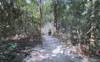 TP. Hồ Chí Minh chủ động phòng chống cháy rừng cao điểm mùa khô