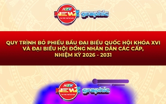 NewZgraphic: Quy trình bỏ phiếu bầu cử