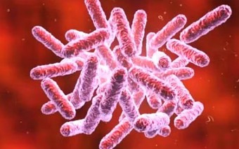 Bộ Y tế cảnh báo phòng ngừa bệnh "sốt đất"