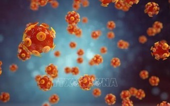 WHO cảnh báo công tác loại trừ viêm gan tiến triển chậm