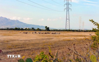 An ninh năng lượng: Con đường chuyển đổi bền vững cho Viêt Nam