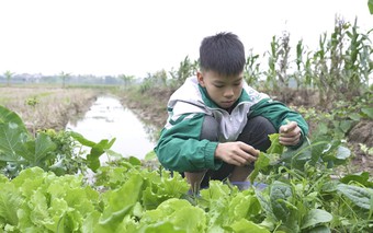 Mái ấm gia đình Việt: Chị em Minh Dương sớm tự lập vì mất cha, mẹ bệnh nặng