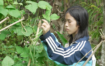 Hoài Thương chăm cha mắc ung thư phổi, nuôi ước mơ làm giáo viên