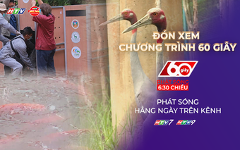 60 Giây ngày 23/6/2026 | Viết tiếp hành trình đưa đàn sếu trở về Tràm Chim