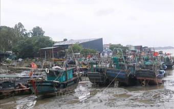 Khẩn trương ứng phó bão số 1, dồn lực bảo vệ người dân vùng nguy hiểm