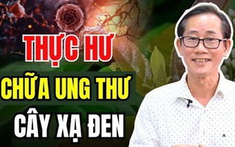 HTV Chiến thắng ung thư: Xạ đen có trị được ung thư không?