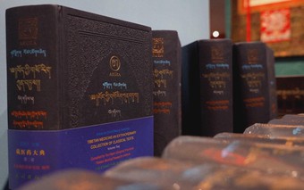 Trung Quốc: Y học cổ truyền Tây Tạng kết hợp công nghệ hiện đại