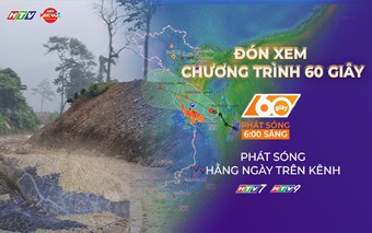 60 Giây Sáng ngày 13/9/2026 | Lâm Đồng: Rùa biển lên đảo Hòn Cau đẻ trứng