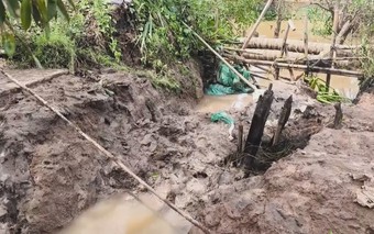 Triều cường làm sạt lở đê bao, ngập hơn 15 ha vườn cây ở Tân Phú