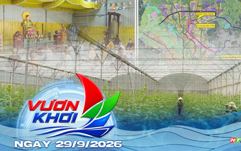 Nơi những phận đời cơ nhỡ được yêu thương | Vươn Khơi - Ngày 29/9/2026