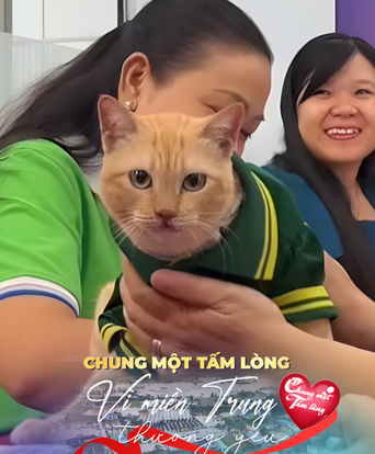 Mèo Mika “trưởng chuồng gấu” của Thảo Cầm Viên ủng hộ 80 triệu đồng cho đồng bào lũ lụt miền Trung